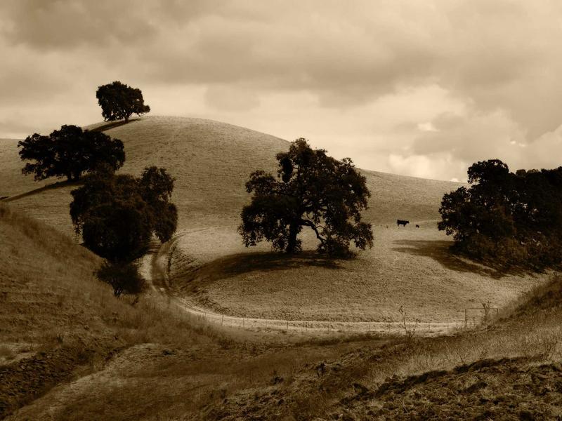 sudoku simple coloring screenshot 6