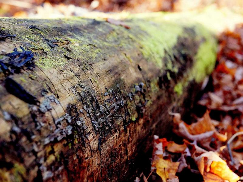 killer sudoku screenshot 1